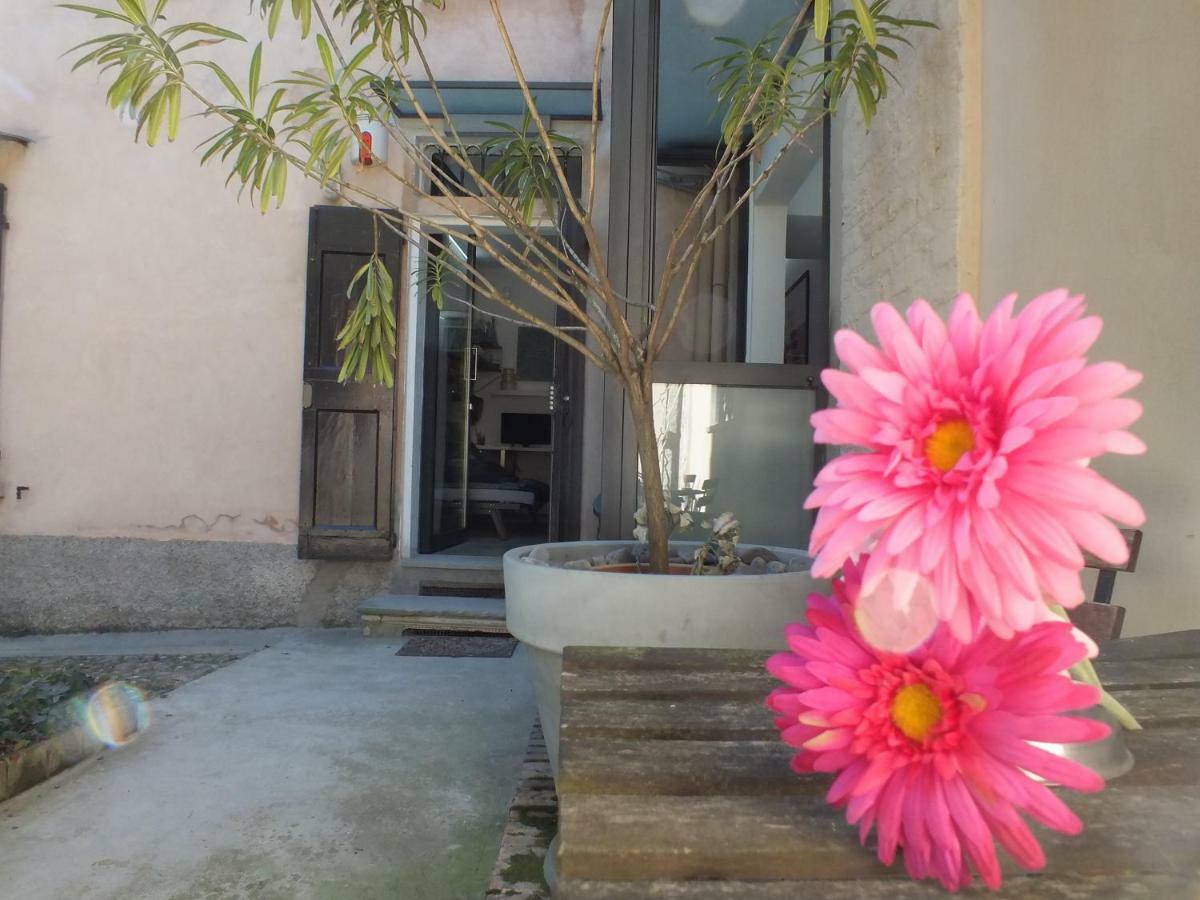 Loft Garden In Bologna'S Heart Ospedale Rizzoli Apartamento Exterior foto